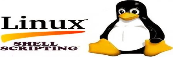 linux shell onsecure mick user